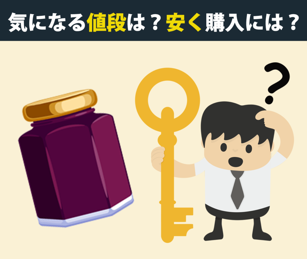 気になる値段は？安く購入するには？	