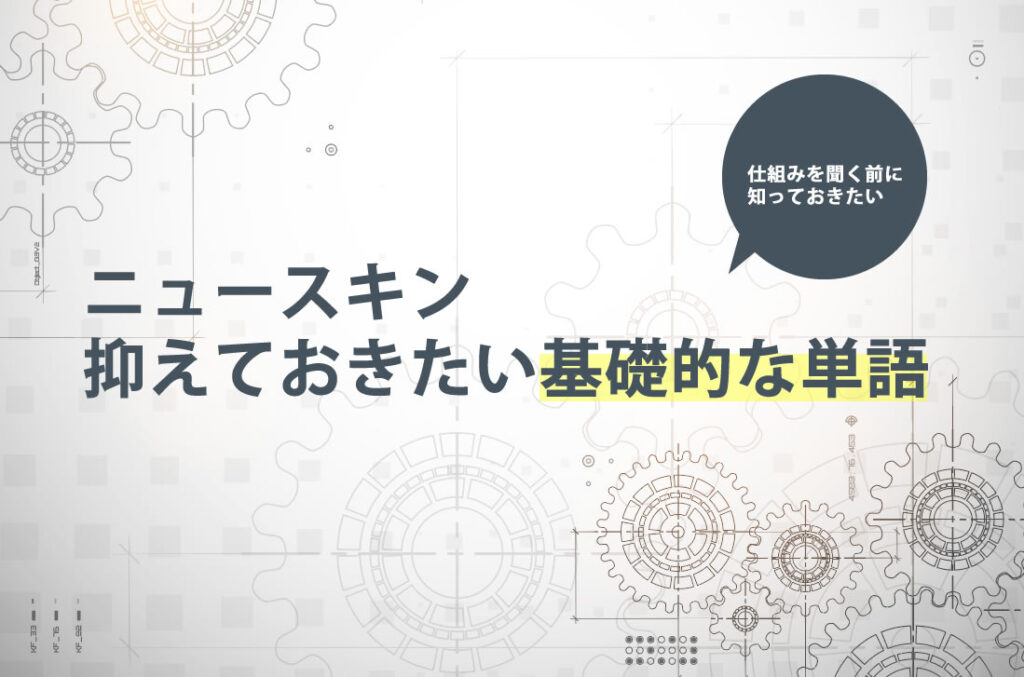 ニュースキンの基礎的単語知識